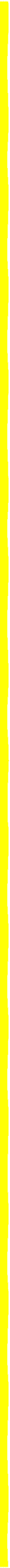 yellow boarder
